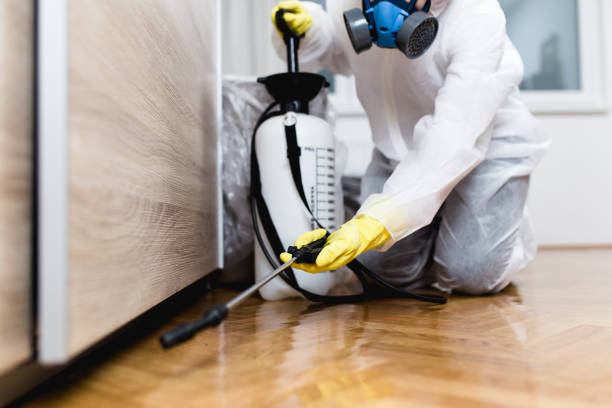 Best Cockroach Control Services  in Knollwood, IL