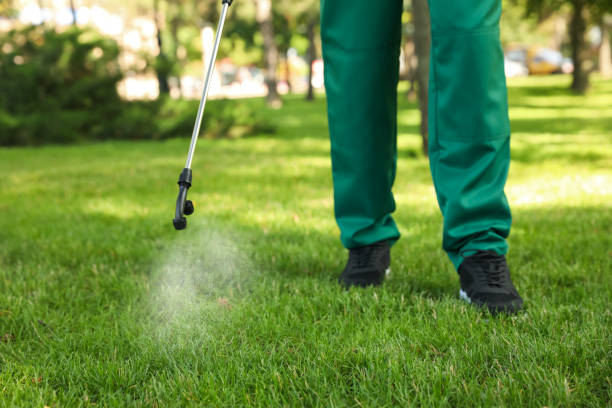 Best Mosquito Control Services  in Knollwood, IL