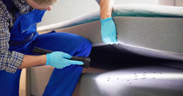 Best Affordable Pest Control Services  in Knollwood, IL