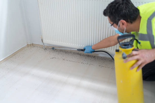 Best Ant Control Services  in Knollwood, IL